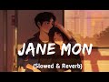 Bol Khuji Toke Ar Kise (Slowed & Reverb) ❤️ | Jane Mon Tui Jibon | Bangla Lofi Remix