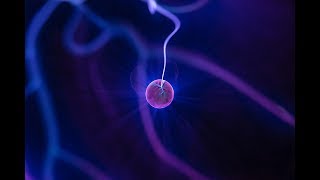 5 Types Of Brain Waves 5 Types Of Brain Waves