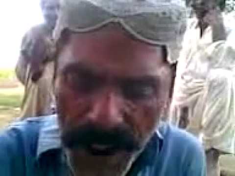 Shehzad Roy apnay ullu