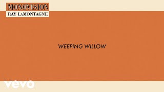 Watch Ray Lamontagne Weeping Willow video