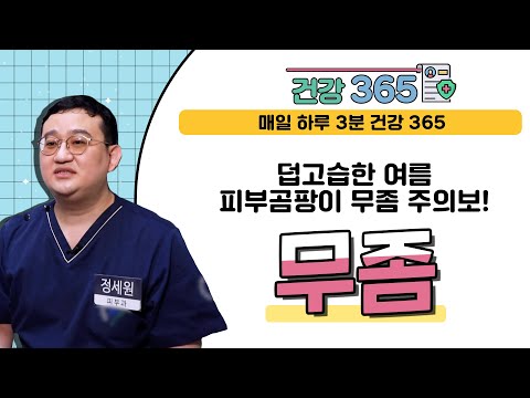 전체 동영상