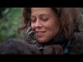 Gorillas in the Mist (1988)