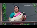 Ye Re Ye Re Paisa |Bestever verry Funny clip of Marathi Movies