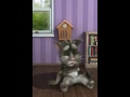 Talking Tom cat - chiste en español