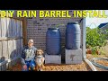 The BEST DIY RAIN BARREL Install [Complete Guide]