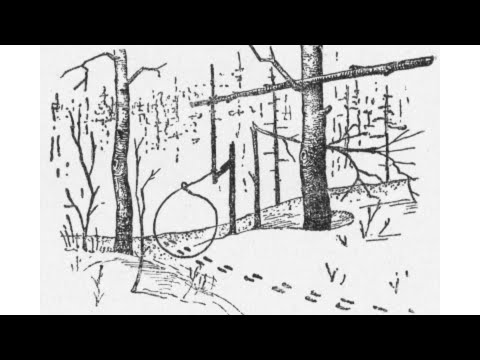 как ловить кроликов в the long dark как ловить кроликов в the long dark