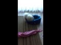 Copito v/s cama