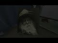 GONE HOME - THE END - LOVE WINS!? #3 (Let's Play Gone Home)