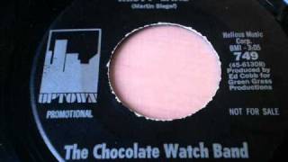Watch Chocolate Watch Band Misty Lane video