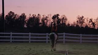 2024 Show 5 Norakate Ans Dixie Equitation Pattern Novice Youth