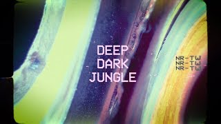 Nicky Romero & Teamworx - Deep Dark Jungle