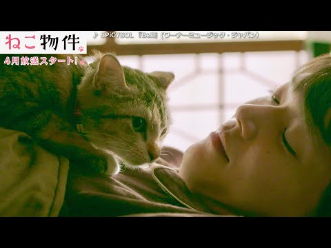 今年は鎌倉時代以来の“2”が6つ並ぶ「猫の日」！ 古川雄輝と猫たちの究極の癒し映像解禁！