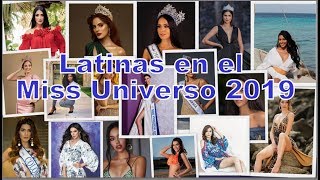 Miss Universo 2019 Latinas Con Jrptve Jose Rodriguez