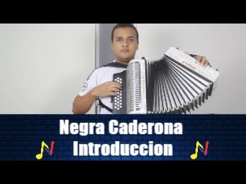 Reproducir Introducción Video Introducción