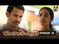 Panamankada Episode 20