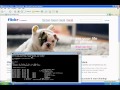 SMBRelay in modern Windows Networks (Intercepter-NG)