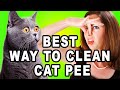 Get Rid of Cat Pee Smell: Insider secrets to getting rid of cat urine odor.