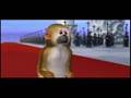 Rat Zodiac - Rat Attributes Rat Zodiac - Rat Attributes