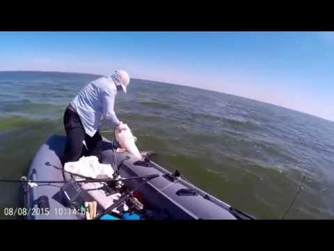 видео обзор сома видео обзор сома