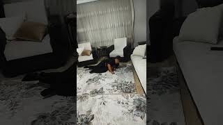 Klüp Başkanı Ömer Faruk Büllük Canavarı