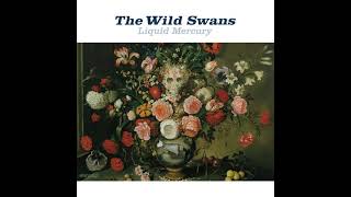 Watch Wild Swans Liquid Mercury video