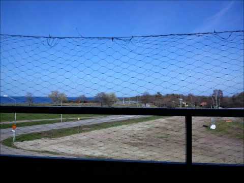 Halo.wmv