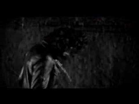 New Epidemic Video