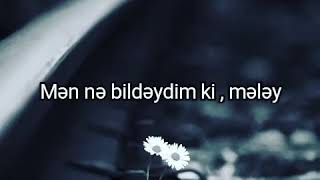 Insan Sevdiyini Tenha Qoyub Gedirse Hec Vaxt Geri Donmez