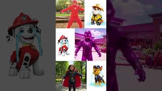 Paw Patrol Rescue World Marshall, Rubble, Chase, Zuma, Rocky And Skye & Ryder