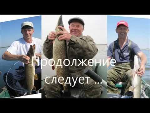 рыбалка в краснодарском крае ейский район рыбалка в краснодарском крае ейский район