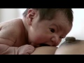 Newborn Baby Breast Crawl Instinct To Find Its Mother S Newborn Baby Breast Crawl Instinct To Find Its Mother S