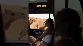 Elissa