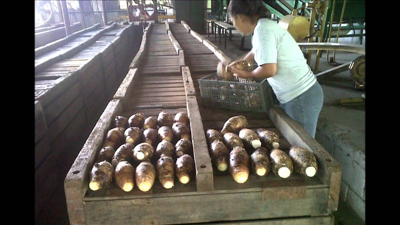 Agricola MC contenedor Malanga October 10 - 14, 2011.wmv Agricola MC contenedor Malanga October 10 - 14, 2011.wmv