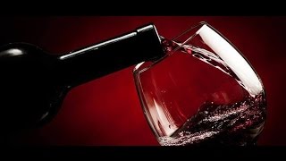 Watch Goran Bregovic Lose Vino video