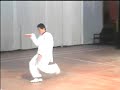 形意Bagua