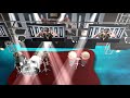 Escenario en Blufftitler FREE