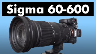 Sigma 60-600Mm Dg Dn Review New Version Best Super-Zoom For Wildlife?