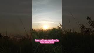 Sunrise Jayann Dalinog