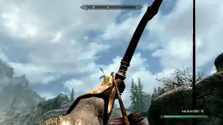 An Extremely Lucky Shot That You Wont Notice......