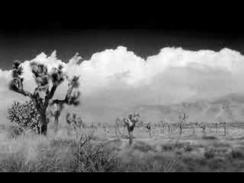 Black and White Joshua Tree Black And White Clouds Background. Black and White Joshua Tree