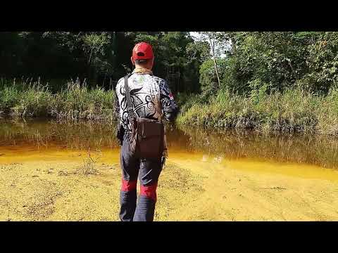 mancing gabus di awal tahun 2020 bersama adik ipar