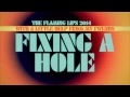Fixing A Hole Video preview