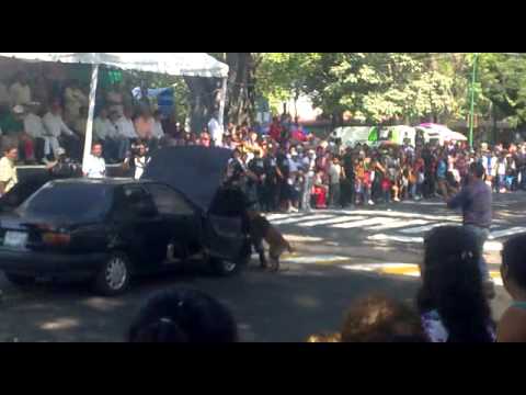 ENTRENAMIENTO POLICIA VIDEO entrenamiento policia video: