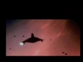 Independence Day