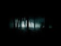 Irgendwann, Vielleicht Video preview