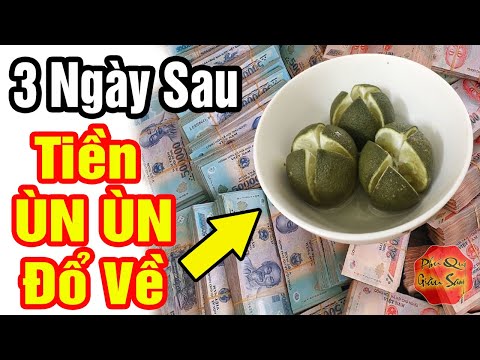 ĐẶT 3 QUẢ CHANH RẮC MUỐI Chỗ Này...BẤT NGỜ Tiền Kéo Về Ầm Ầm, May Mắn Cả Năm, Thầy Phong Thủy Chỉ Ra