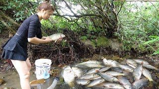 Hunting Wild Fish: Catch A Lot Of Fish In The Wild Lake By Using The Big Pump To Suck The Water