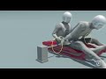 Inside the Action: Luge