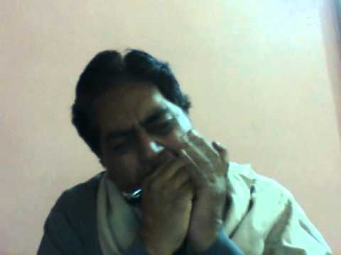 New Ichak Dana Bichak Dana