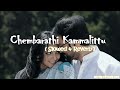 Chembarathi Kammalittu Song Slowed and reverb | manikyakallu Movie | Sreya goshal | Ravi Shankar |